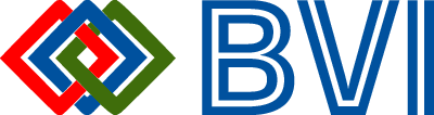 Bold Ventures International Inc.